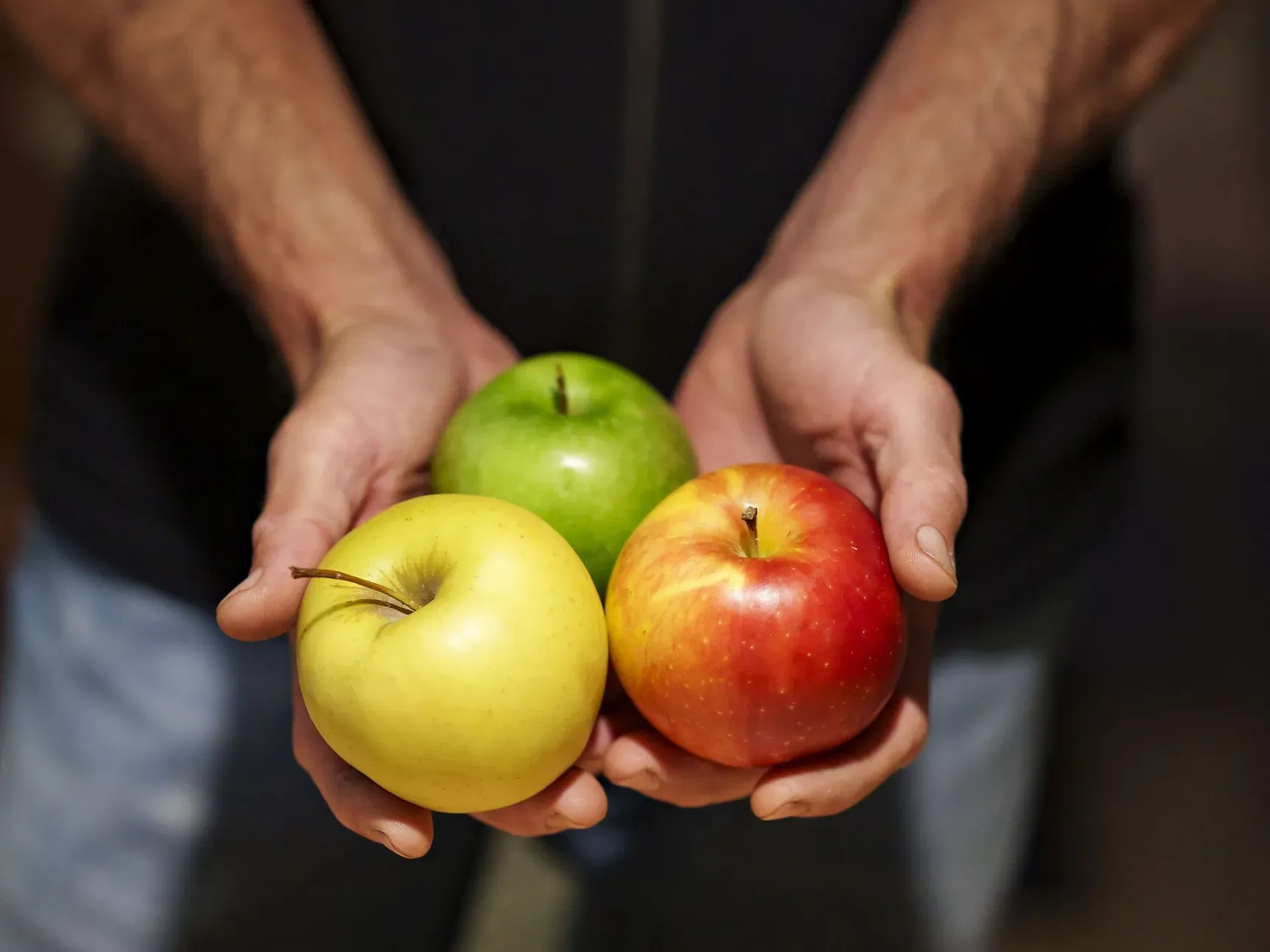 Visita guidata nel meleto dell'Ansitz Lidl a Prissiano in lingua Italiana Visita guidata nel meleto dell'Ansitz Lidl a Prissiano in lingua Italiana
